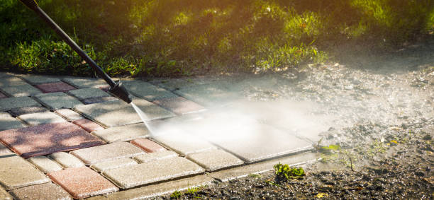 Boat and Dock Cleaning in Romulus, MI